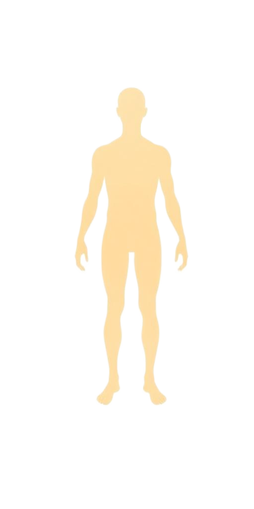 Human body diagram